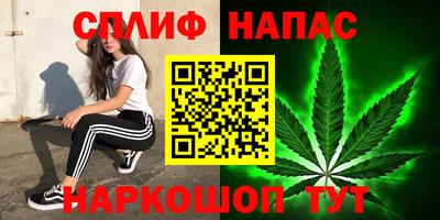 скорость Дубна
