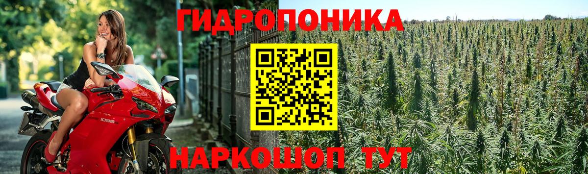 Бошки марихуана Ganja Малоярославец